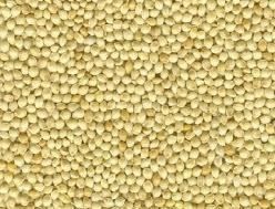 Millet Seeds