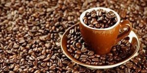 Tea, Coffe, Spices, Oil, Coconut Coir