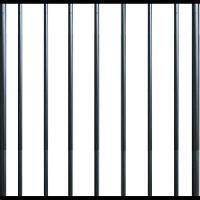 Cage Bars