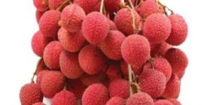 Fresh Lichi