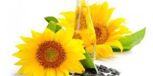 Sunflower Oil