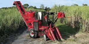 Sugarcane Cutting Machine