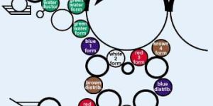 Offset Rubber Rollers