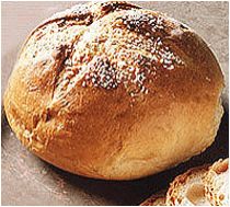 Universal SF SPL South Parotha