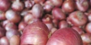 Industrial Safety Glove