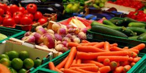 Fresh Vegetables