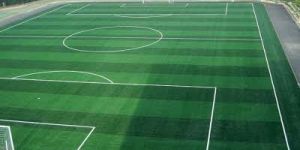 Football Ground Turf