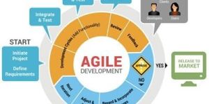 Website Development Services