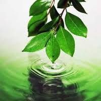 Natural Essential Oils