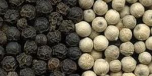 Black White Pepper