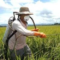 Chemicals Pesticides