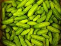 Fresh Gherkins