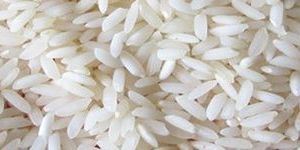 Sona Masoori Steam Rice