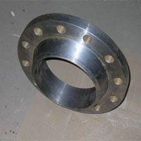 Hastelloy Flanges