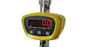 Electronic Crane Scale