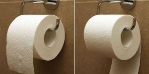 Toilet Paper Rolls