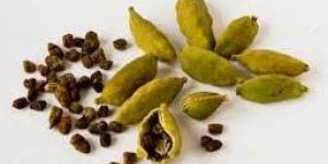 Green Cardamom