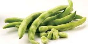 Fresh Broad Beans