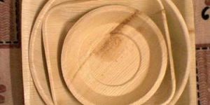 Areca Leaf Plates