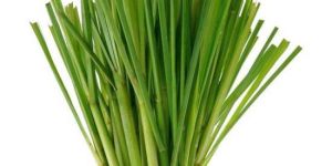 Fresh Lemongrass