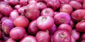 Fresh Red Onion