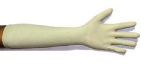 Long Latex Surgical Gloves