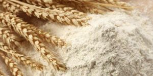 Wheat Flour