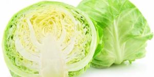 Fresh Cabbage