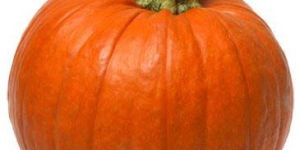 Fresh Pumpkin