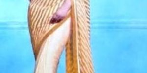 Ladies Party Wear Saree