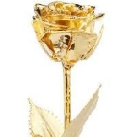 Gold Plated Roses