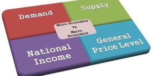 Home Tuition Services