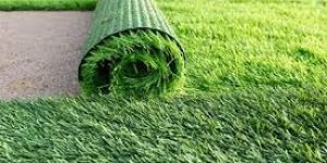 Artificial Grass