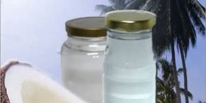 Virgin Coconut Oil