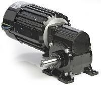 Worm Gear Motor