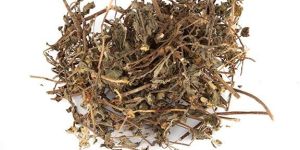 Bhringraj Dry Extract