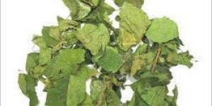 Gudmar Dry Extract