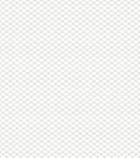 Polyester Net Fabrics