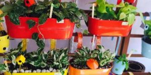 Iron Metal Planters