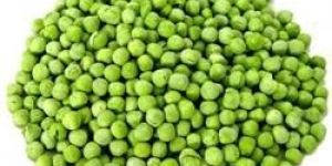 Frozen Green Pea