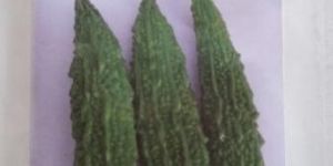 Bitter Gourd Seeds