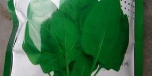 Spinach Seeds