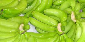 Fresh Cavendish Banana