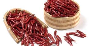Dried Red Chilli