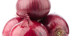 Fresh Red Onion