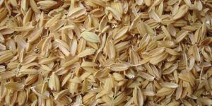 Rice Husk