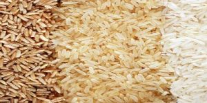 Basmati Rice
