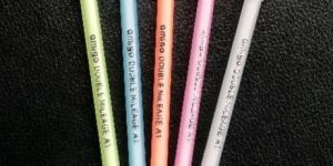 Amigo Double Mileage Ball Pen
