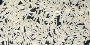 1121 Basmati Rice
