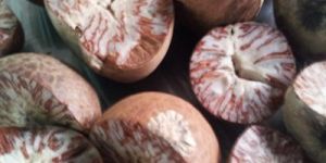Betel Nuts